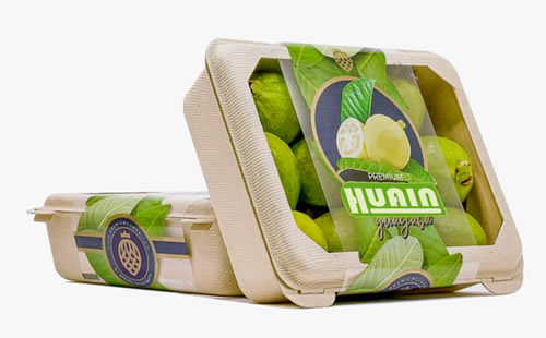 Fine Quality Pulp Box